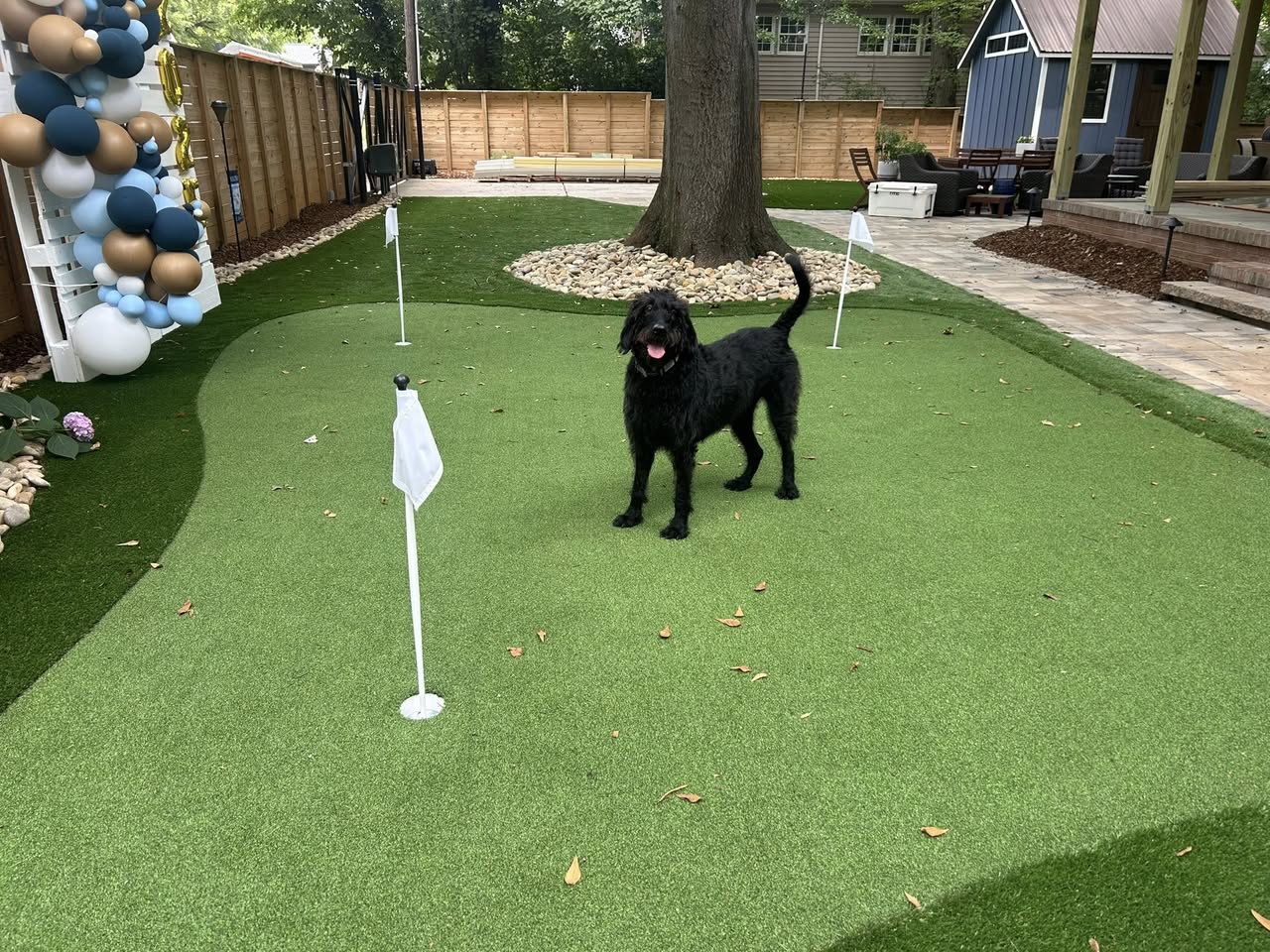 506855665_1960759664663109_3358787836354258007_n Artificial Turf Putting Green