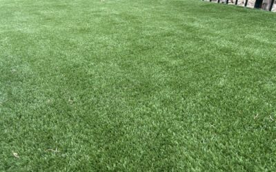 Pet Turf – Mr. Outdoor Living Tip of the Day
