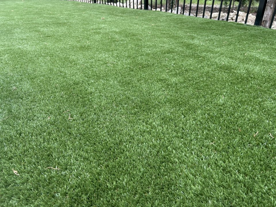 517112745_1982605062478569_3887708153442952286_n Pet Turf
