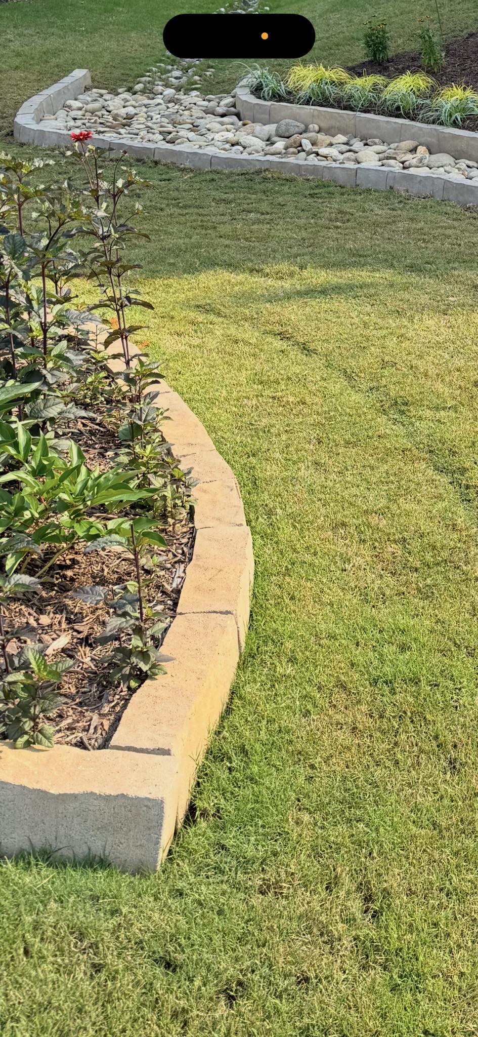 520008777_1986886492050426_6187829012279213134_n Curbing
