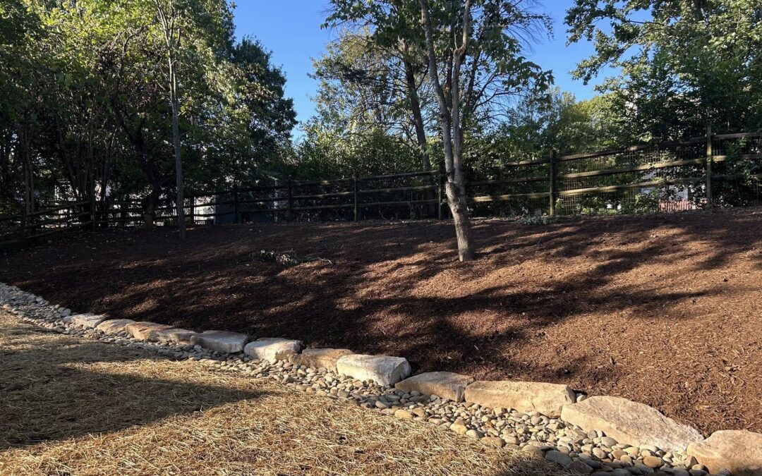 Dry Creek Bed – Mr. Outdoor Living Tip of the Day
