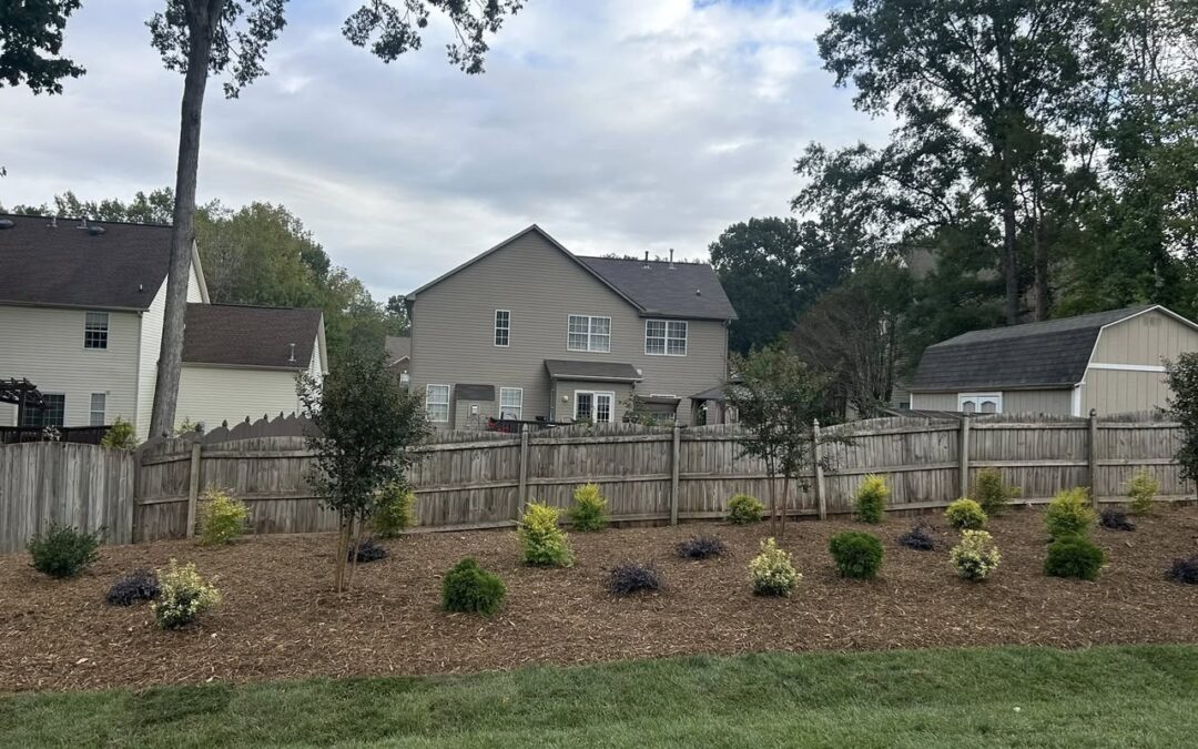 Origins 12 – Mr. Outdoor Living Tip of the Day