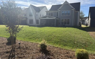 Patios, Plantings and More – Mr. Outdoor Living Tip of the Day