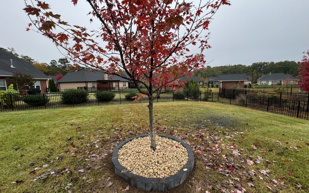 Curbing – Mr. Outdoor Living Tip of the Day