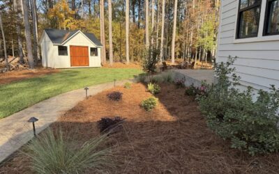 Landscaping Professionals – Mr. Outdoor Living Tip of the Day