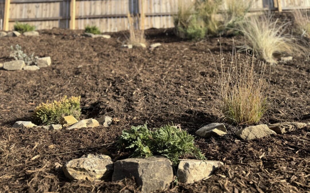 Great Landscaping Ideas – Mr. Outdoor Living Tip of the Day