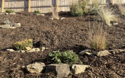 Great Landscaping Ideas – Mr. Outdoor Living Tip of the Day