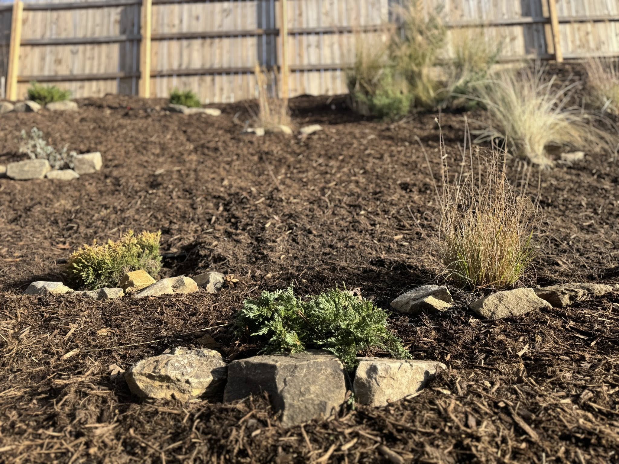 Great Landscaping Ideas