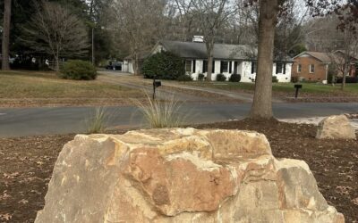 Excellent Landscaping in Charlotte – Mr. Outdoor Living Tip of the Day