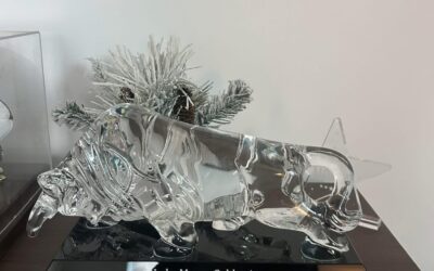 2025 Mr. Outdoor Living Exterior Designer of the Year Making Homes More Beautiful – Mr. Outdoor Living Tip of the Day