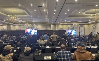 Hardscape Expertise in Charlotte – Mr. Outdoor Living Tip of the Day