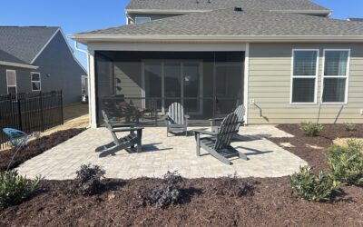 7 Charlotte Home Value Landscaping Projects for Maximum ROI