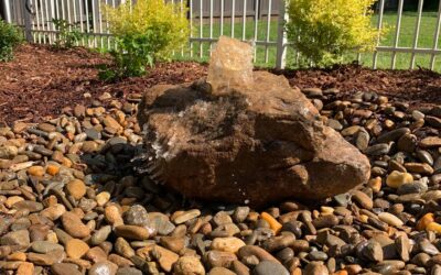 Elevate Your Outdoor Oasis: Stunning Backyard Water Features by Mr. Outdoor Living