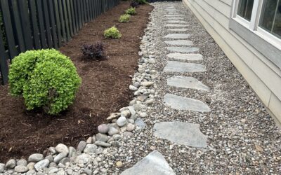 Reclaim Your Lawn: Essential Charlotte Soggy Yard Solutions for a Dry & Beautiful Outdoor Space