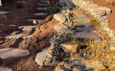 Mr. Outdoor Living: Unlocking the Serenity and 7 Key Benefits of Outdoor Water Features