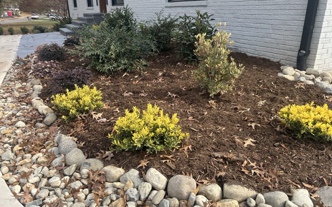 fast curb appeal upgrades