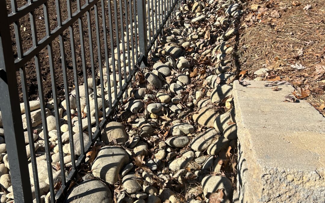 Yard Drainage Solutions for Charlotte Homeowners