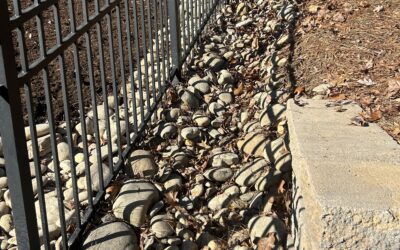 No More Soggy Yards: Essential Yard Drainage Solutions for Charlotte Homeowners